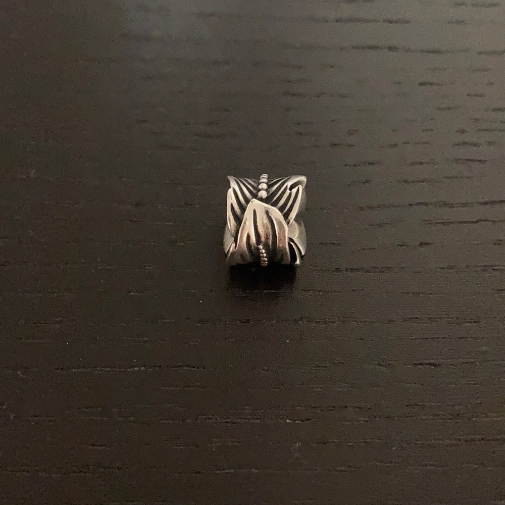 Pandora Feather Wrap Charm